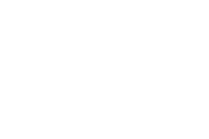 logo białe pl3
