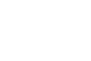 logo białe pl3